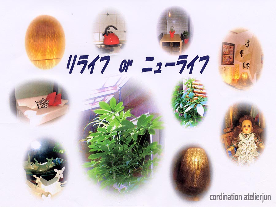 �܊�����̃C���e���A��ăC���[�W