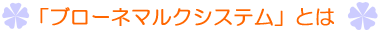 「ブローネマルクシステム」とは