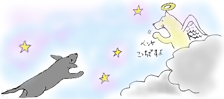 ふりふりテ〜ル2006年6・7月号