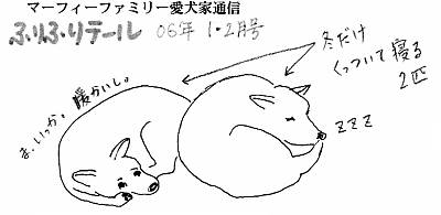 愛犬家通信ふりふりテ〜ル2006年1・2月号