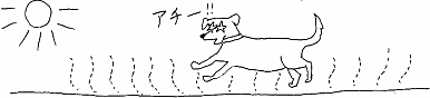 ふりふりテ〜ル2006年8月号