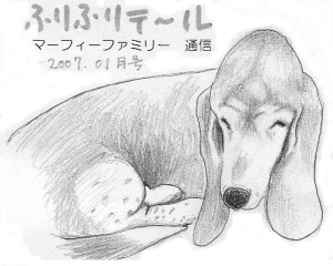ふりふりテ〜ル2007年01月号
