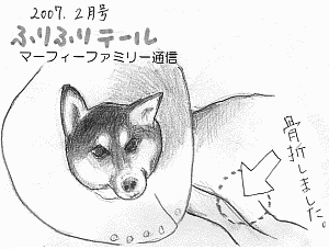 ふりふりテ〜ル2007年02月号