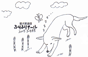 ふりふりテ〜ル2007年3・4月号
