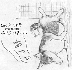 ふりふりテ〜ル2007年7月号