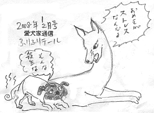 ふりふりテ〜ル2008年1・2月号