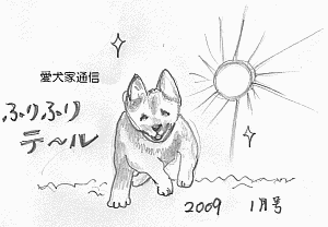 ふりふりテ〜ル2009年01月号