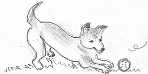 ふりふりテ〜ル2009年5月号