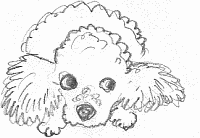 ふりふりテ〜ル2009年5月号