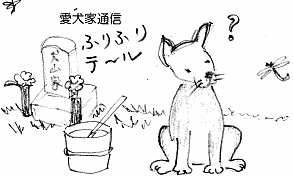 ふりふりテ〜ル2009年8月号