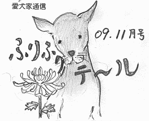 ふりふりテ〜ル2009年11月号
