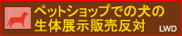�y�b�g�V���b�v�ł̌��̐��̓W���̔�����