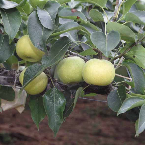 ��\���I��