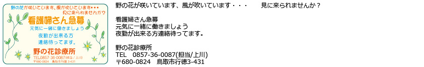 野の花診療所